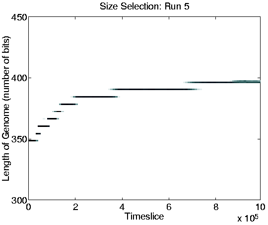 \resizebox{0.75\linewidth}{!}{\includegraphics{graphs/sizeselection/lengthSizeSel5.shrunk.ps}}
