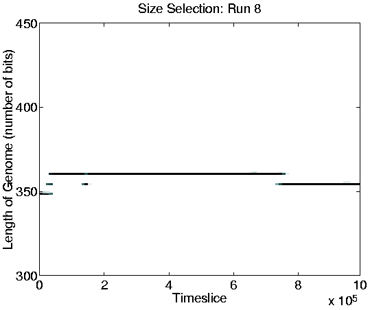 \resizebox{0.75\linewidth}{!}{\includegraphics{graphs/sizeselection/lengthSizeSel8.shrunk.ps}}