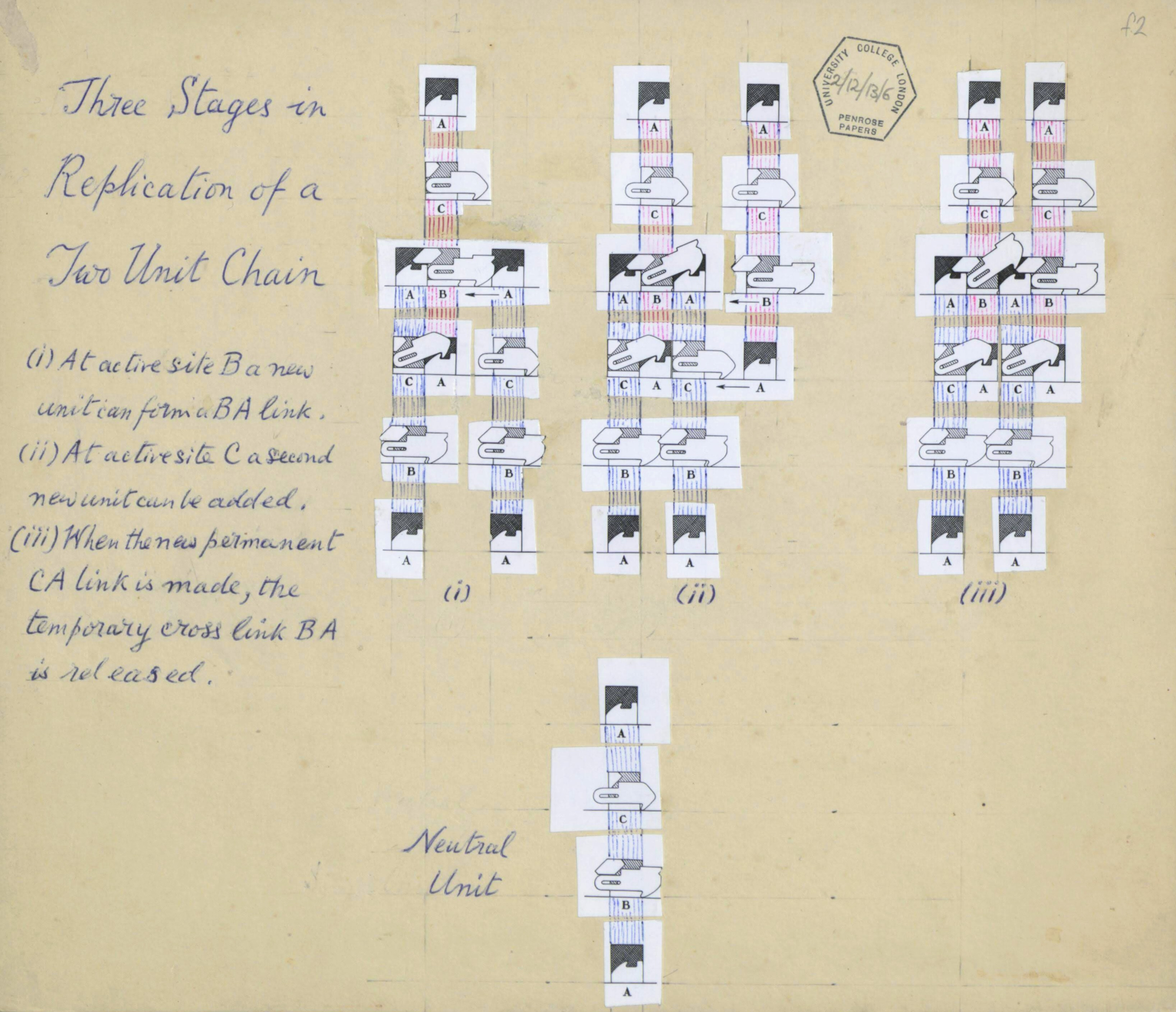 Handwritten annotated schematic of one of Penrose’s designs for a linear-chain replicator (from the Wellcome Library archive).